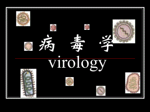 医学微生物学：22 病毒的基本性状-24 检查方法与防治原则