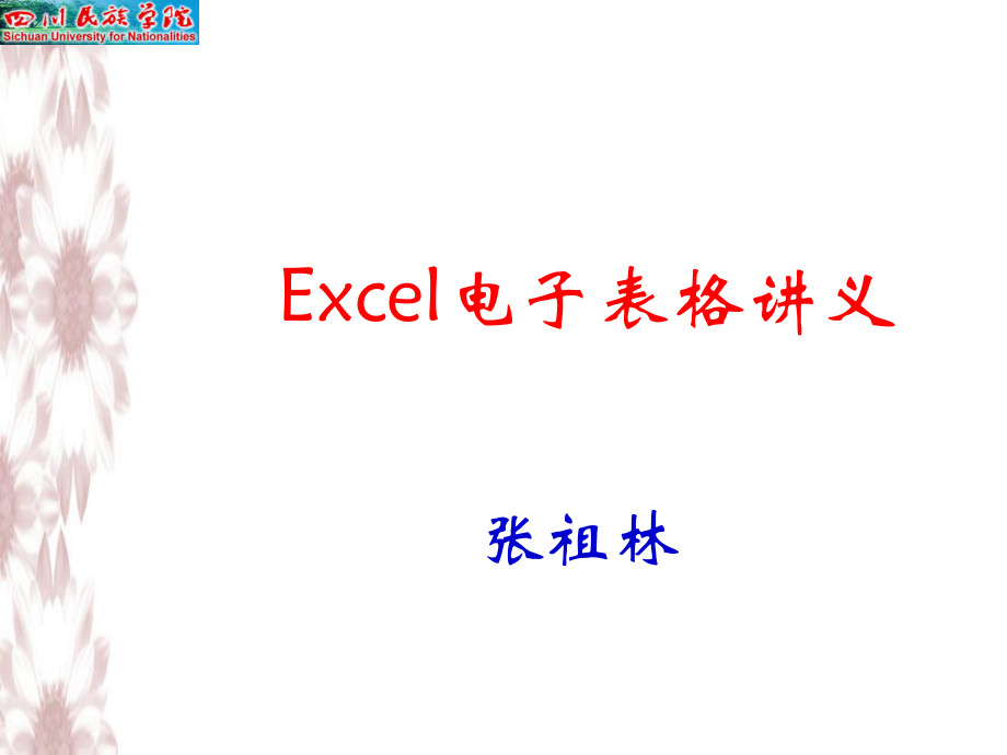 Excel電子表格 課件_第1頁