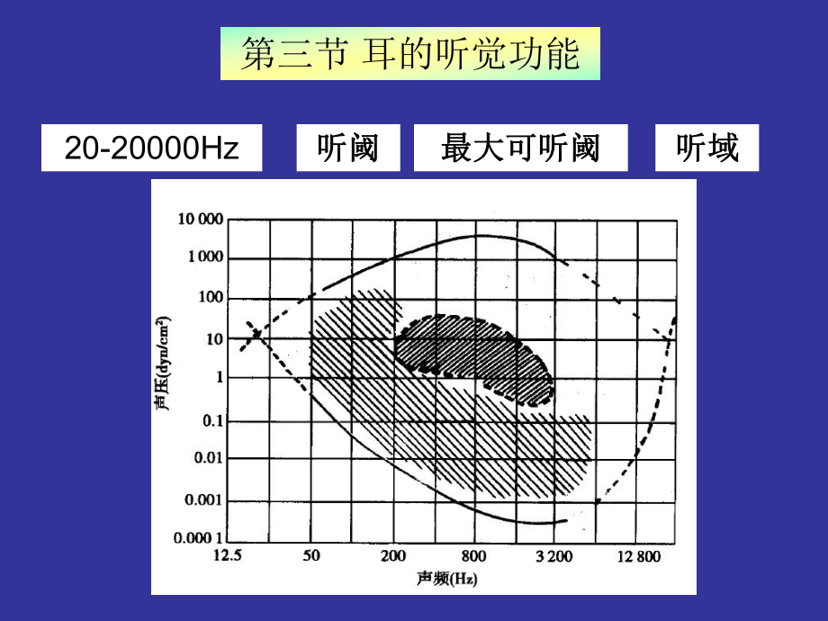 神經(jīng)生物學(xué) 聽覺_第1頁