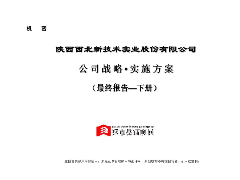 陕西西北新技术实业公司战略实施方案报告_第1页