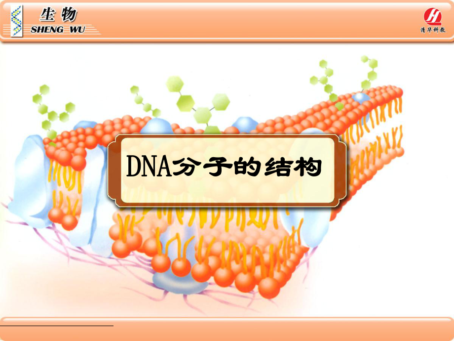 生物②必修32《DNA分子的結(jié)構(gòu)》PPT課件_第1頁(yè)