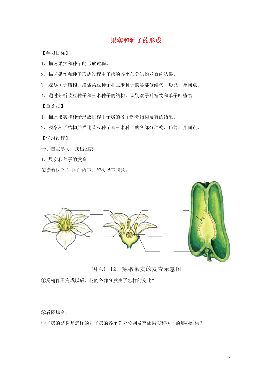 八年级生物上册413果实和种子的形成导学案2无答案新版济南版