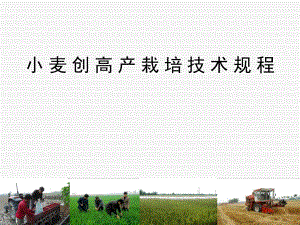小麦创高产栽培技术规程PPT参考课件