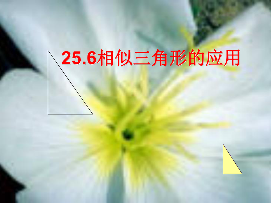 冀教版九年級(jí)數(shù)學(xué)上冊(cè)25.6《相似三角形的應(yīng)用》(共17.ppt)_第1頁(yè)