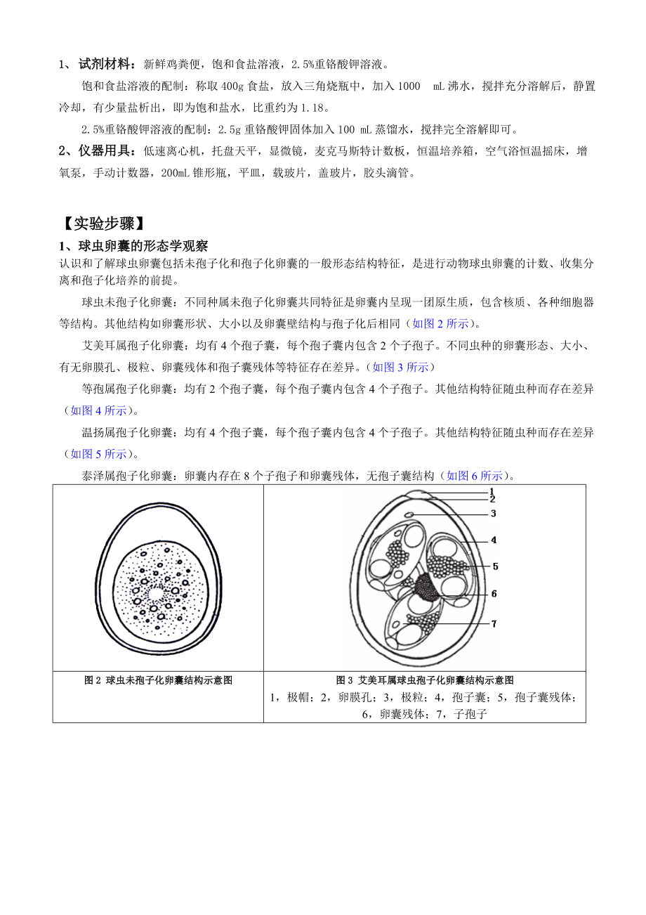 實驗二糞便中球蟲卵囊的計數分離和孢子化培養技術