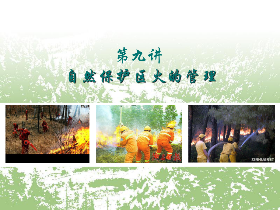 自然保护区火的管理课件_第1页