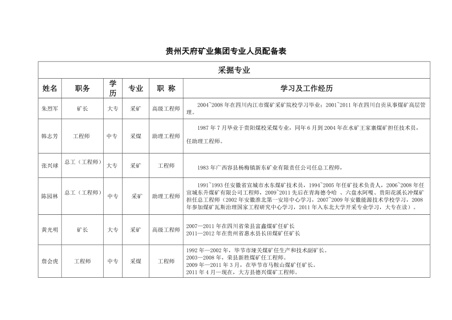 集团公司专业技术人员配备表_第1页