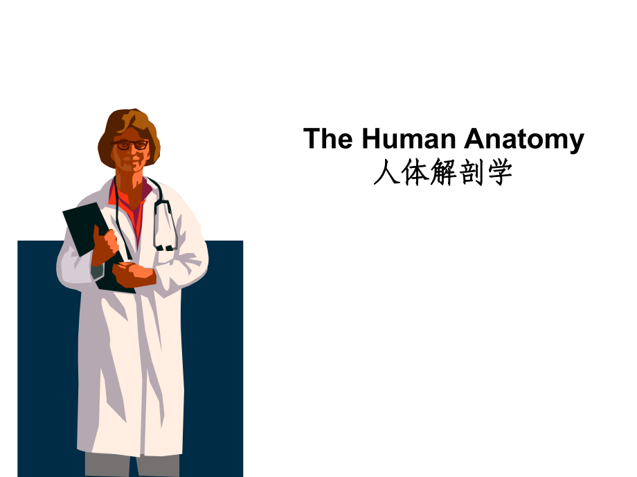 人体解剖学：解剖绪论_第1页