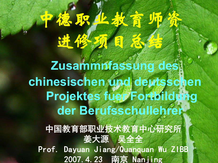 [其它考试]姜大源吴全全中德职业教育师资进修项目总结04_第1页