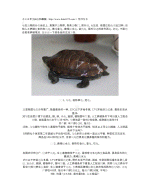 常见龟类品种介绍