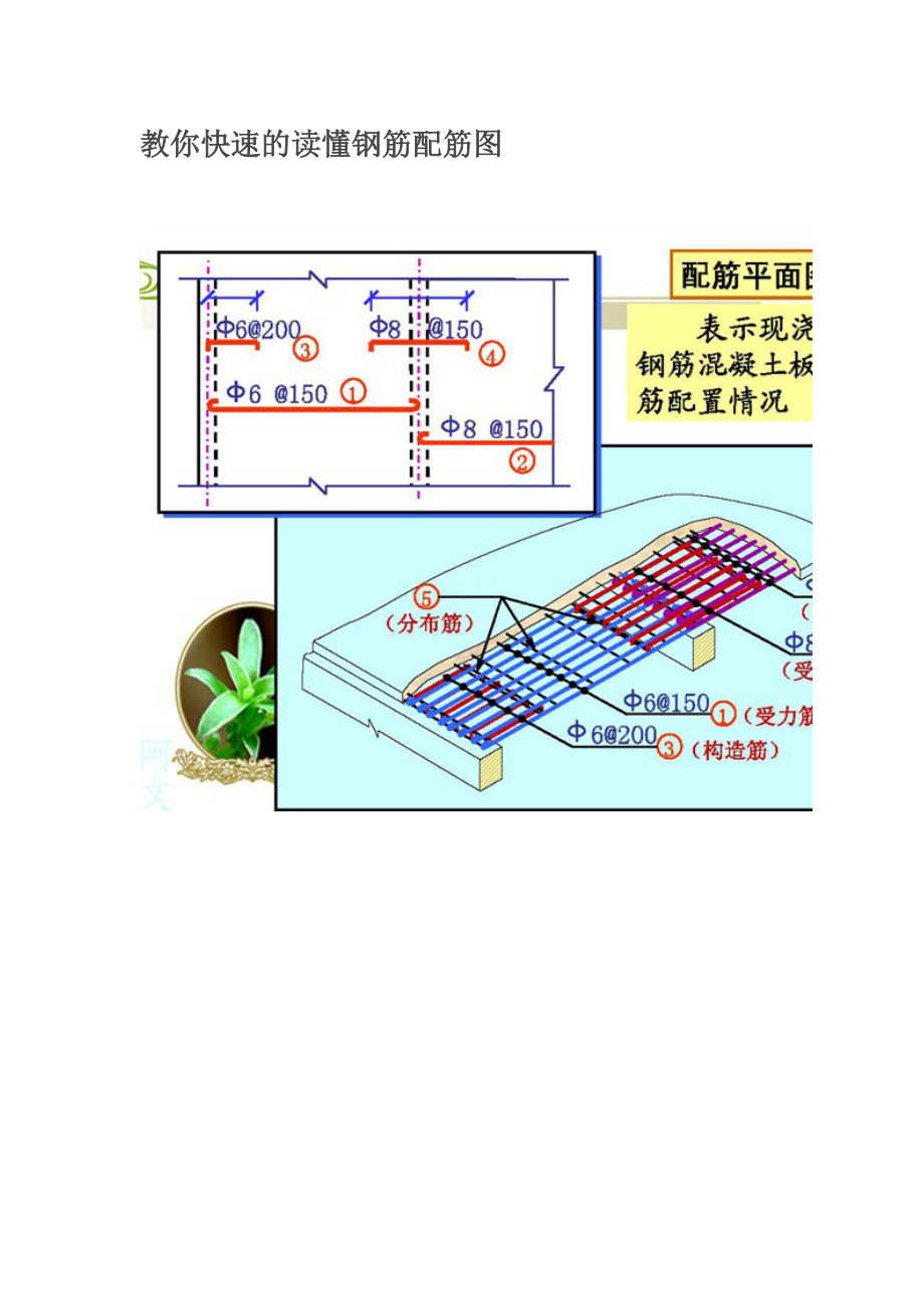 钢筋识图彩色清晰_第1页