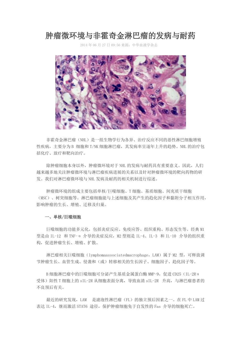 肿瘤微环境与非霍奇金淋巴瘤的发病与耐药_第1页