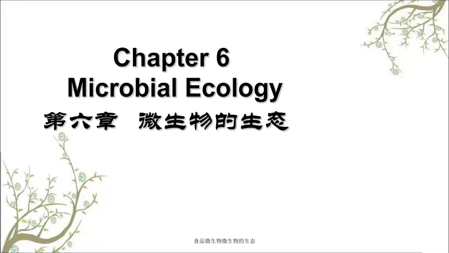 食品微生物微生物的生态课件_第1页