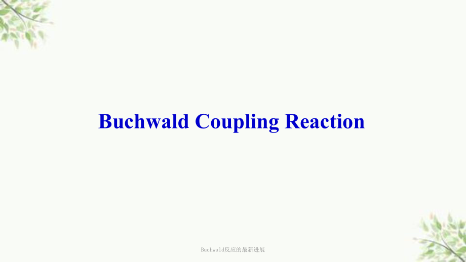 Buchwald反应的最新进展课件_第1页