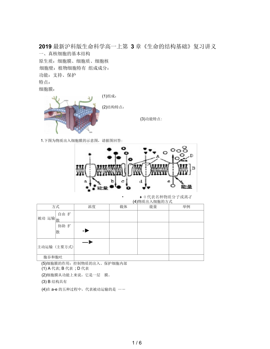 滬科版生命科學高一上第3章《生命的結構基礎》復習講義_第1頁