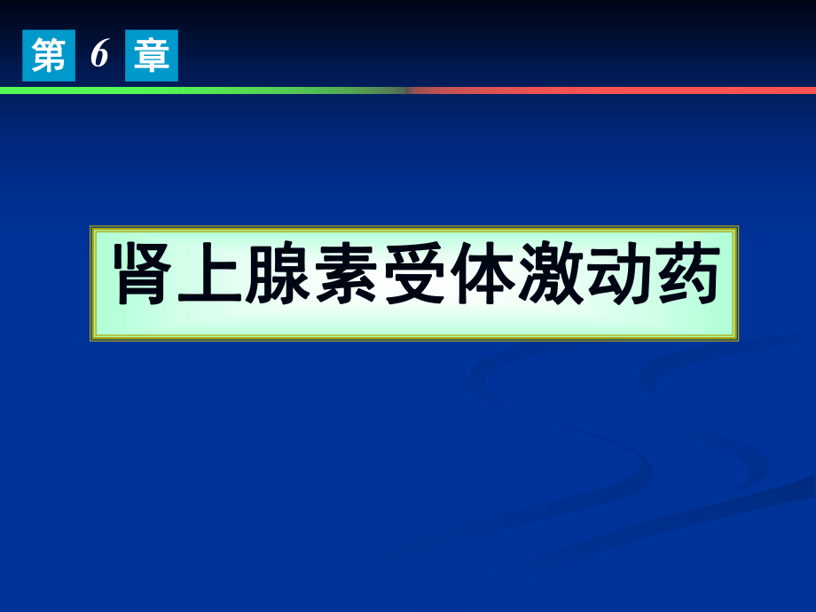 藥理學(xué)：第6章 腎上腺素受體激動藥_第1頁