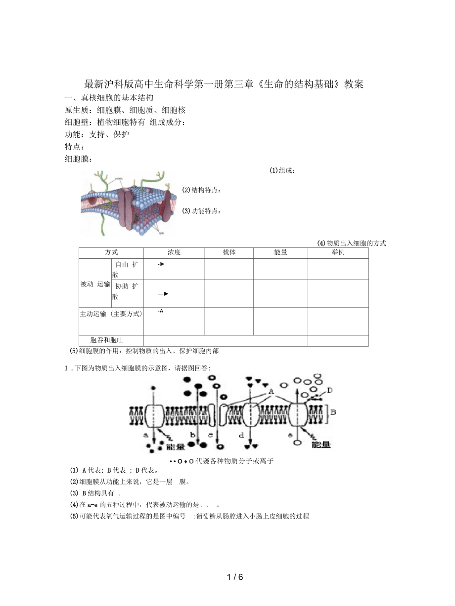 滬科版高中生命科學(xué)第一冊第三章《生命的結(jié)構(gòu)基礎(chǔ)》教案_第1頁