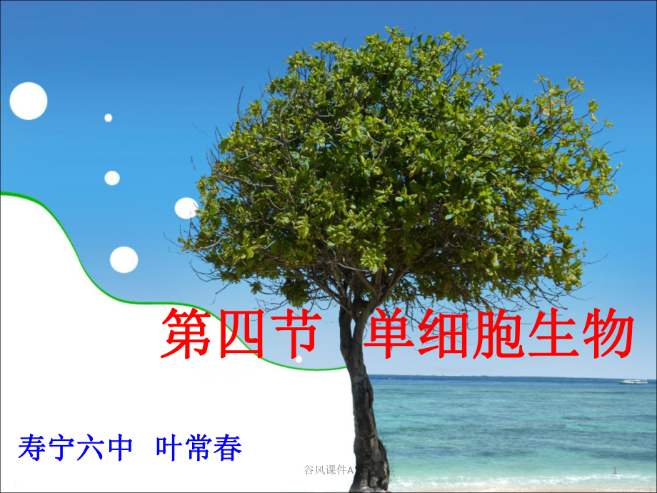 第四節(jié)單細(xì)胞生物優(yōu)課教資_第1頁(yè)