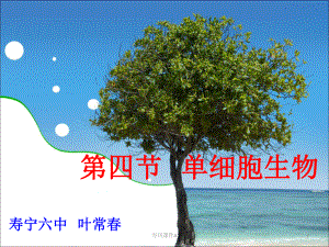 第四節(jié)單細(xì)胞生物優(yōu)課教資