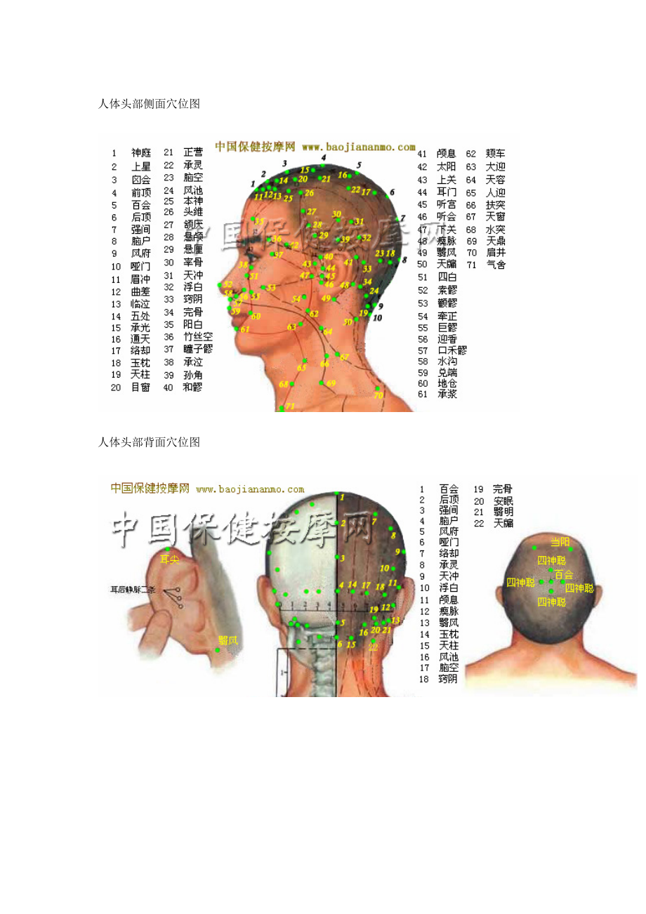 人體頭部穴位分佈圖超清晰彩圖版