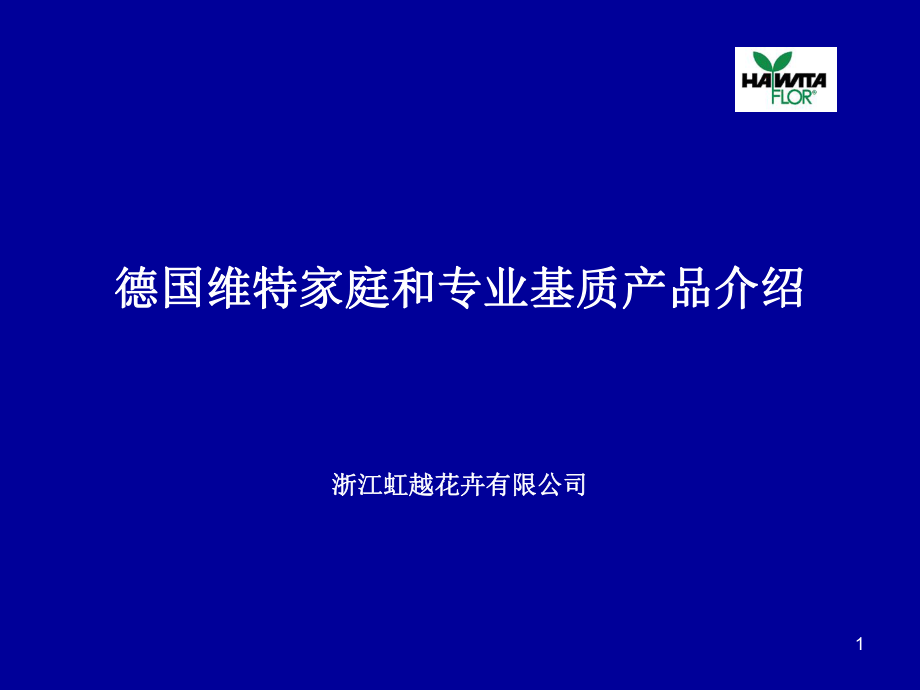 德国维特产品介绍PPT课件_第1页