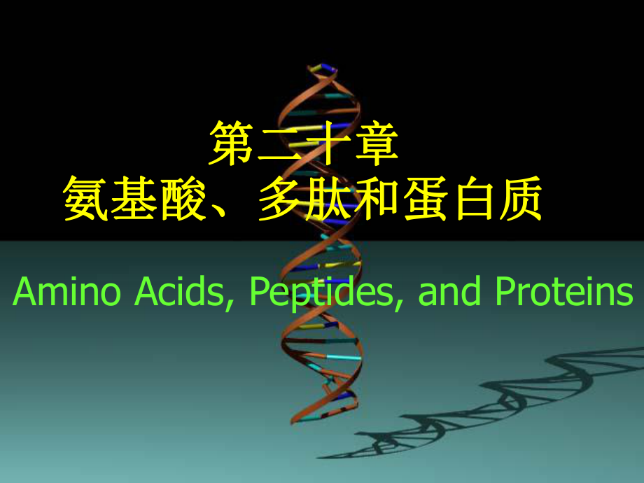 chapter21 氨基酸、蛋白质与核酸_第1页
