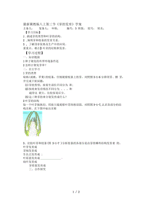 冀教版八上第三節(jié)《芽的發(fā)育》學(xué)案