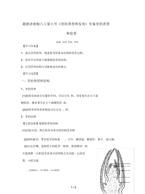 濟(jì)南版八上第六節(jié)《芽的類型和發(fā)育》學(xué)案