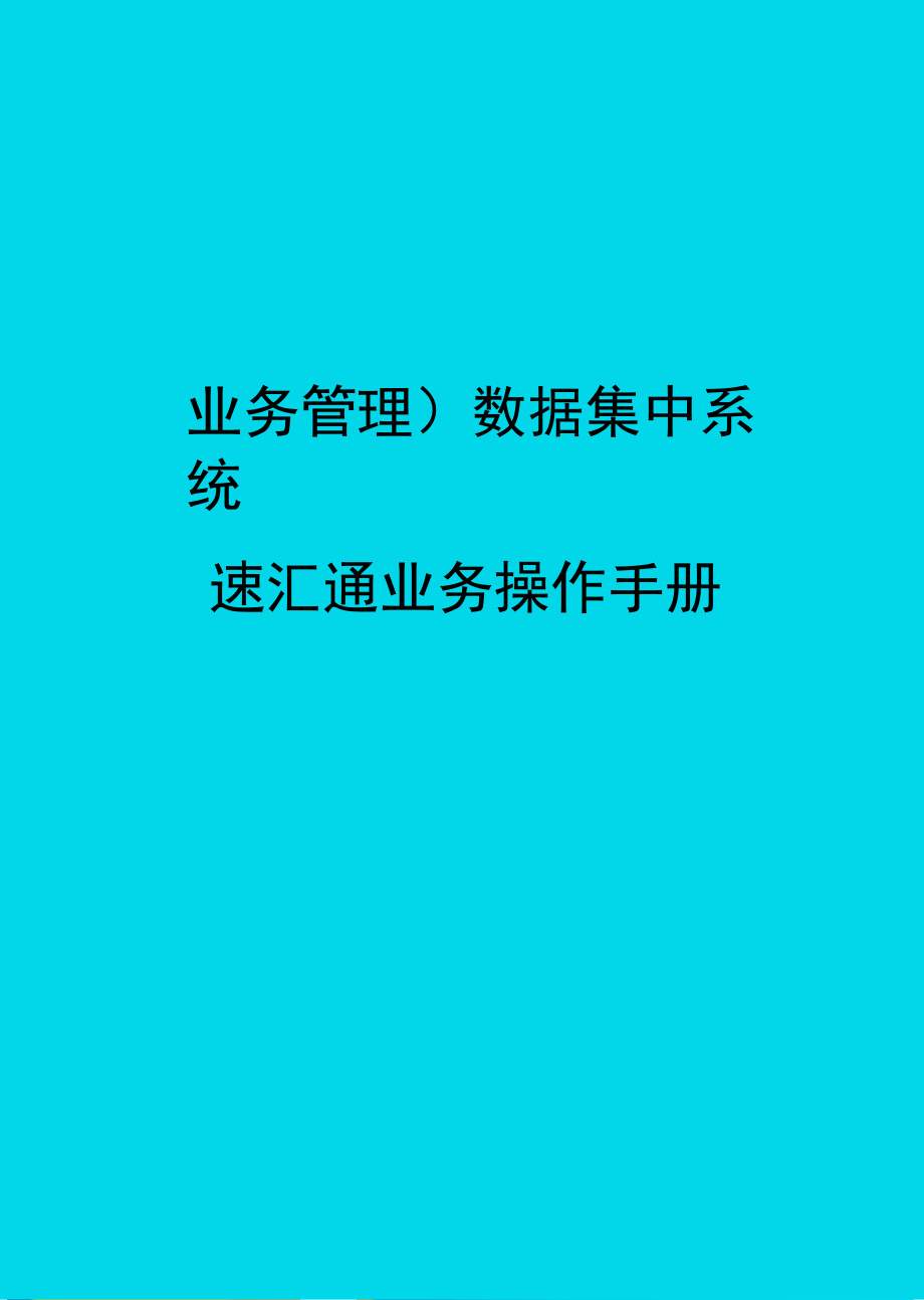 业务管理数据集中系统速汇通业务操作手册_第1页