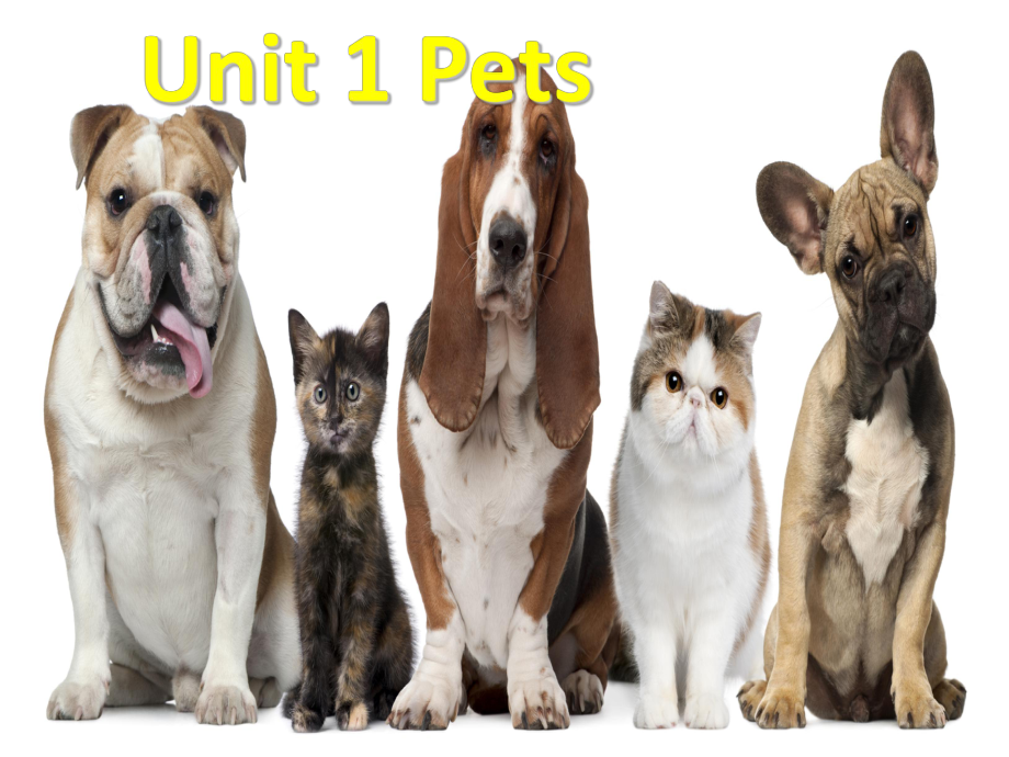 三年級下冊英語課件-Unit 1 Pets 2_Join in 劍橋英語 (共18張PPT)_第1頁