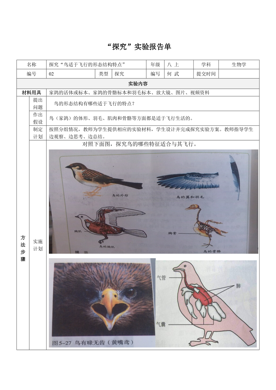 探究鸟适于飞行的形态结构特点的实验报告单_第1页