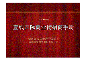 湖南壹线国际商业街项目招商手册营销推广方案课件