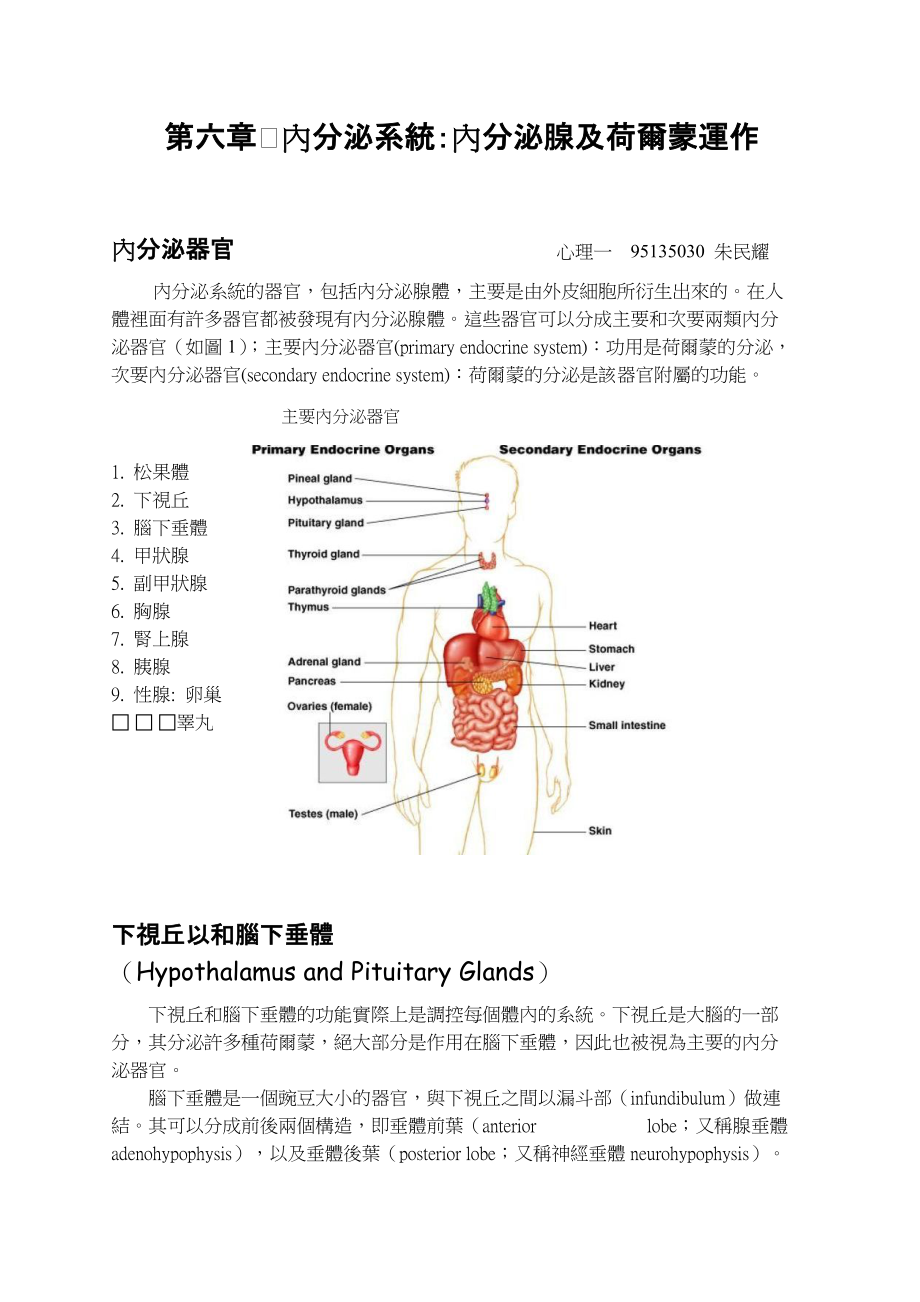 內(nèi)分泌系統(tǒng)內(nèi)分泌腺及荷爾蒙運作_第1頁