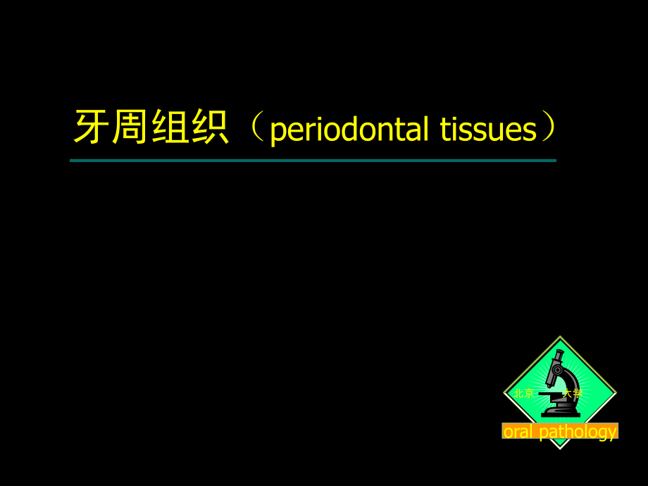 口腔組織病理學(xué) ：牙周組織_第1頁