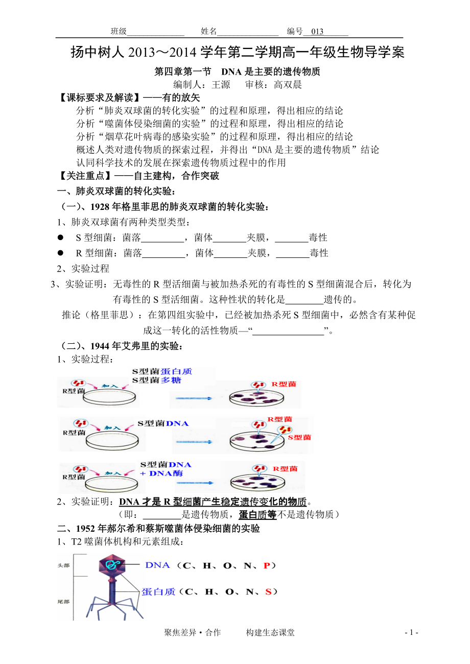 013探索遗传物质的过程_第1页