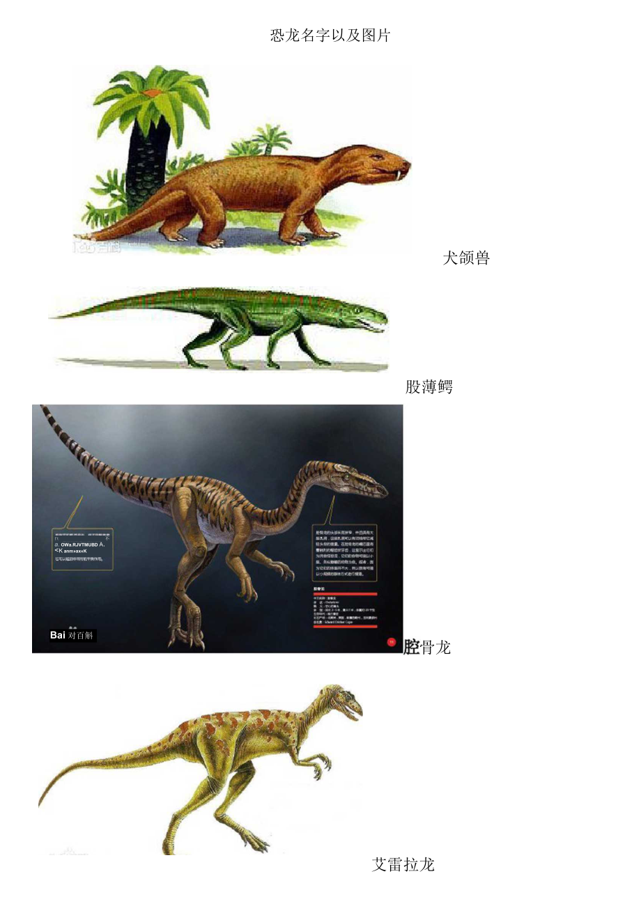 100种恐龙图鉴大全图片