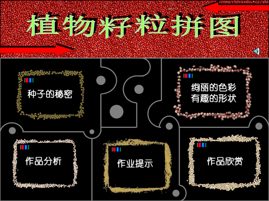 植物籽粒拼图课件_第1页