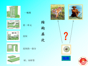 屈原二中湛田動物體的結(jié)構(gòu)層次