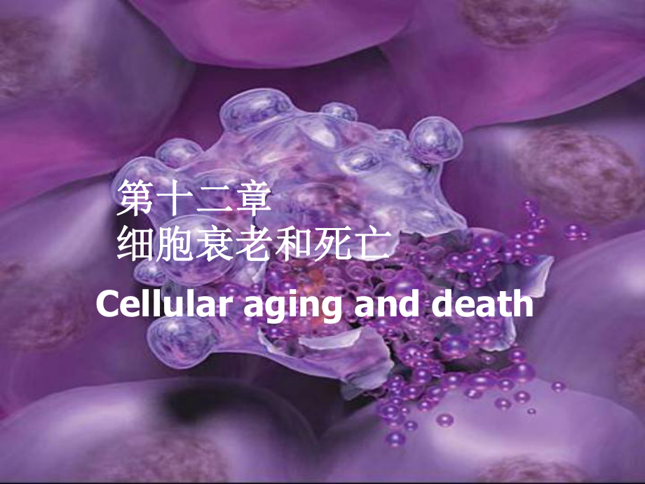 医学细胞生物学第十二章细胞的衰老和死亡_第1页