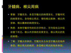 口腔組織病理學(xué) ：牙髓、根尖病