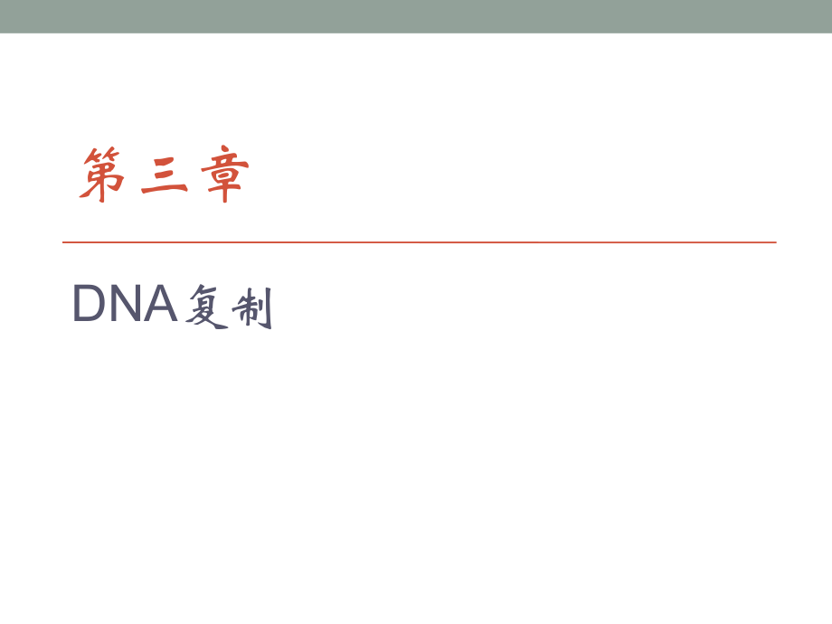 分子生物學(xué)：第三章 DNA復(fù)制_第1頁