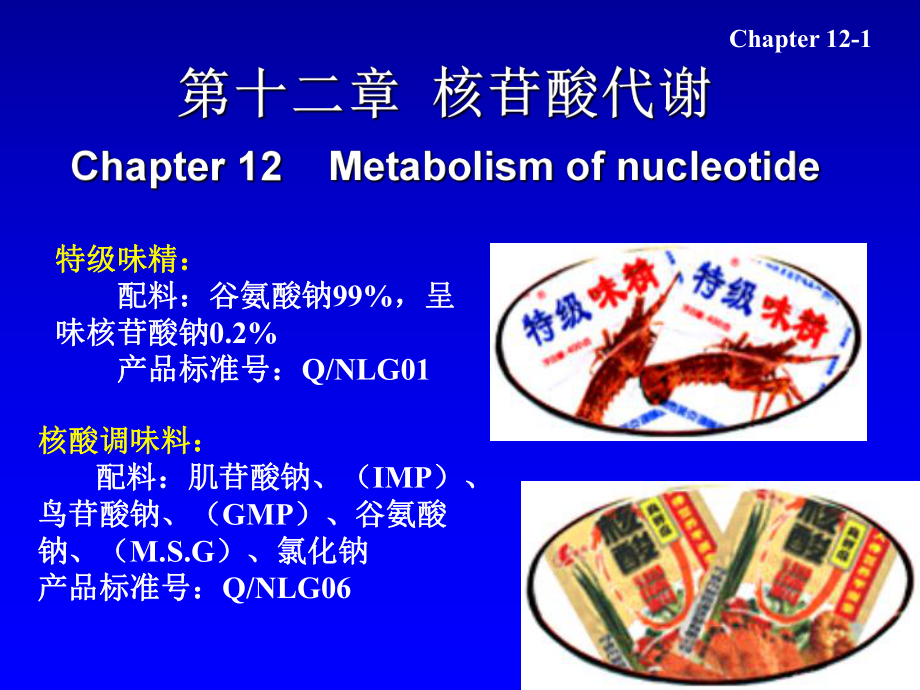 生物化學(xué)：第十二章 核苷酸代謝_第1頁(yè)