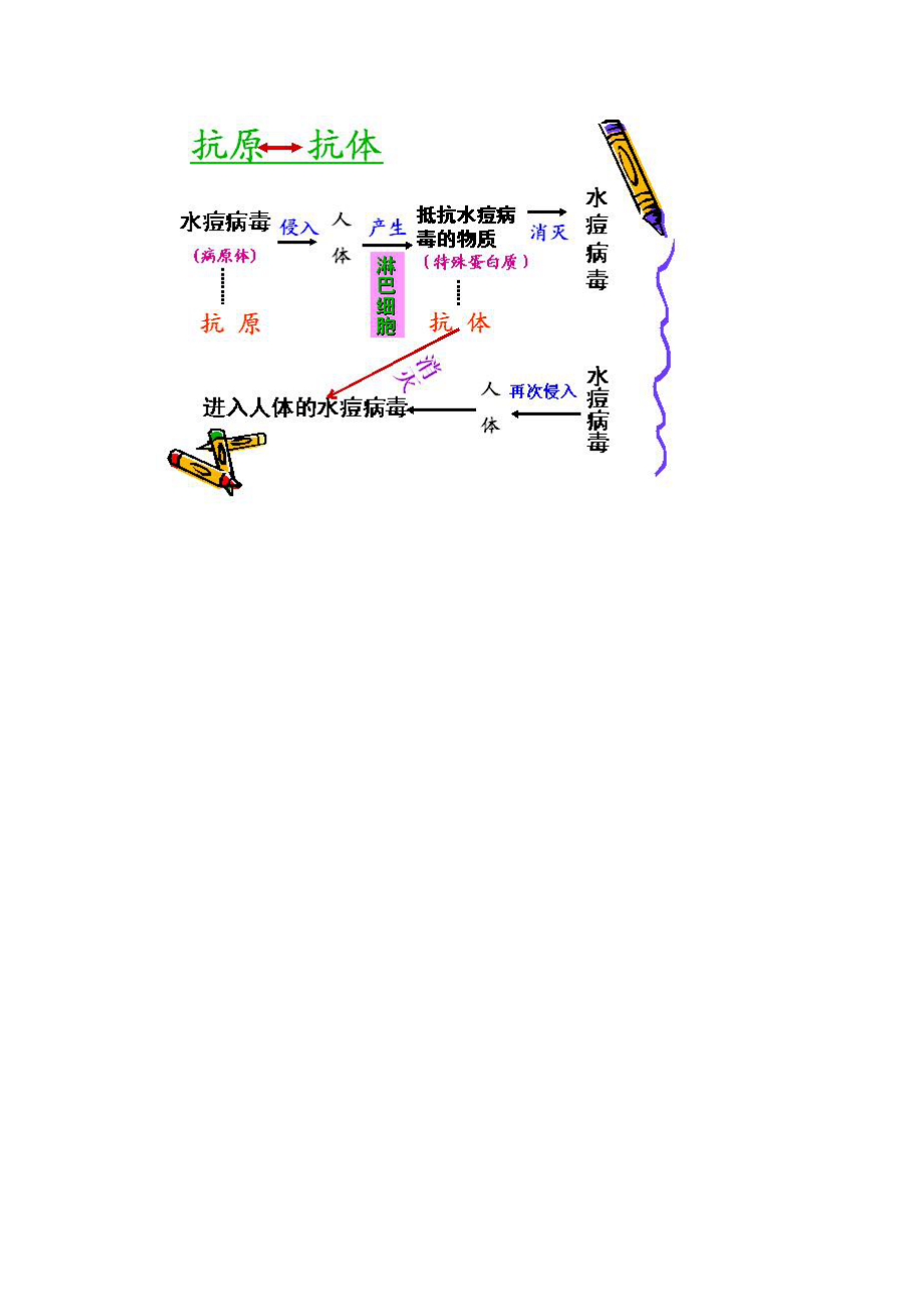 生物知識結(jié)構(gòu)圖_第1頁