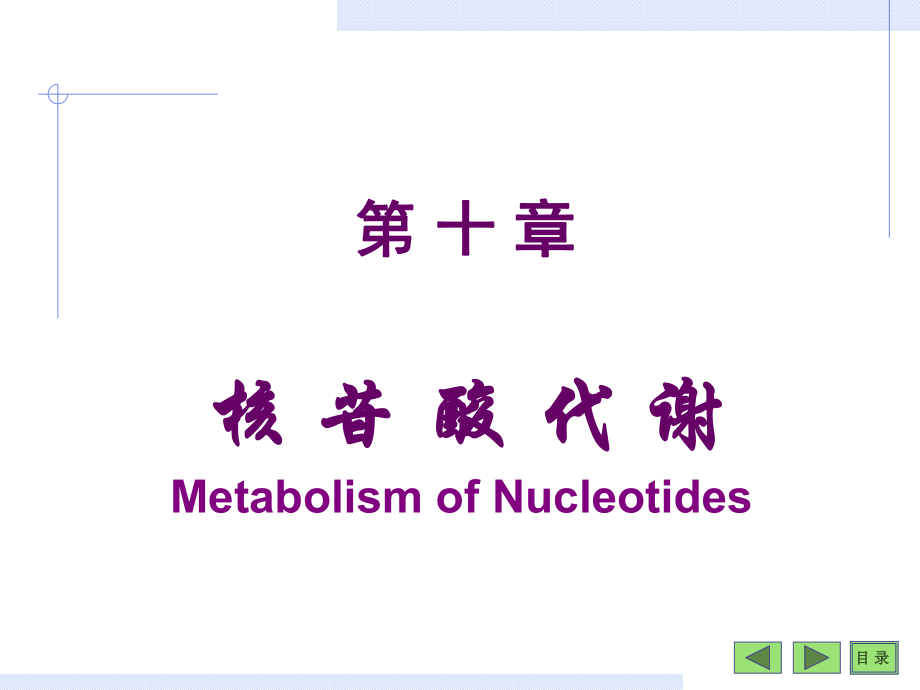 生物化學(xué)與分子生物學(xué)：第十章核苷酸代謝_第1頁(yè)