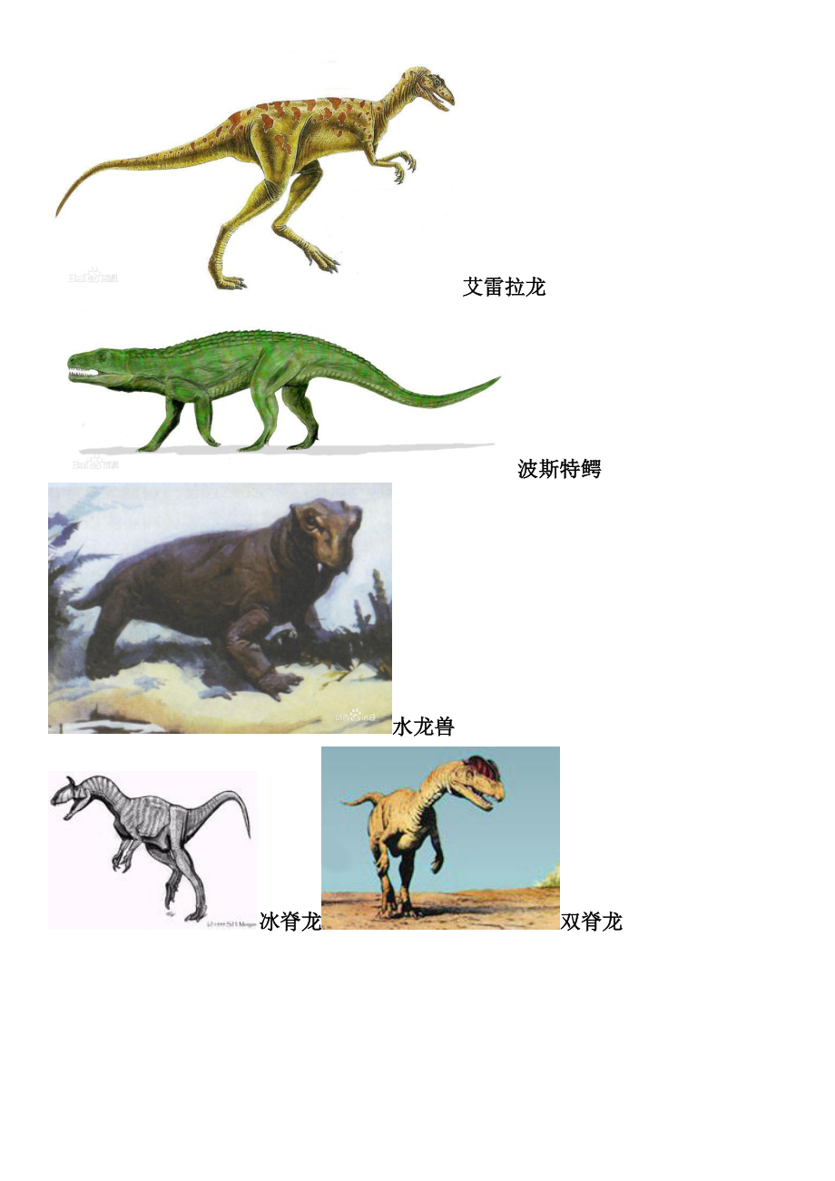 各种恐龙的名称 真实图片