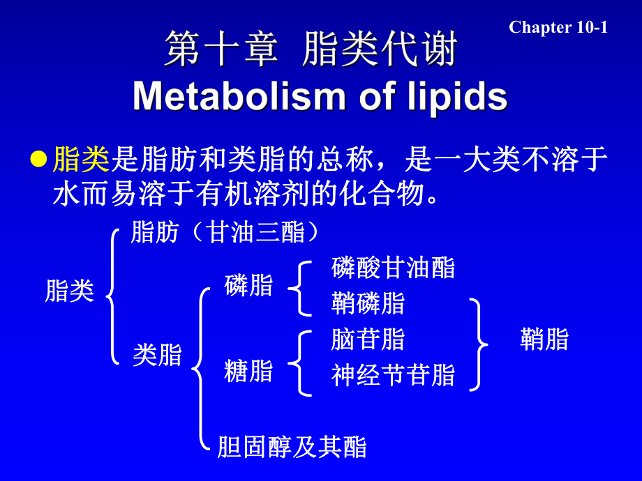 生物化學(xué)：第十章 脂類代謝_第1頁