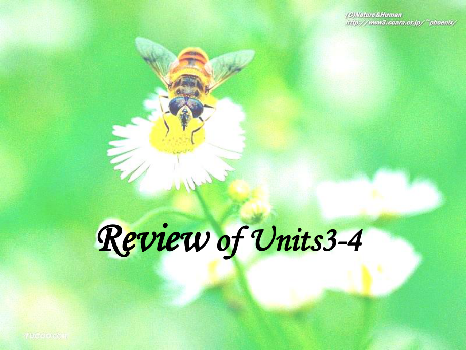 Reviewunits34_第1页