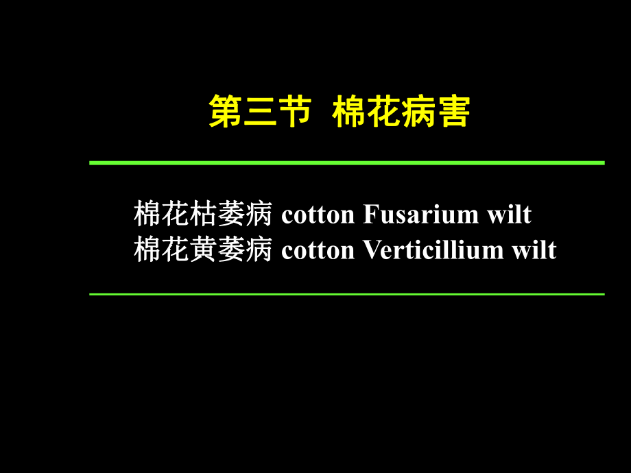 植物保護學(xué)通論：第四章 棉花病害_第1頁