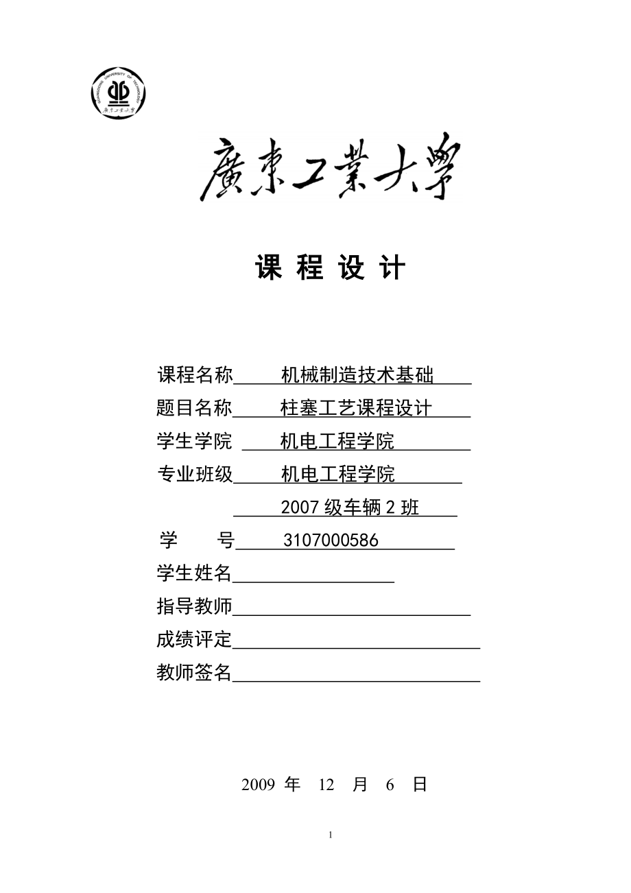 机械制造技术基础柱塞工艺课程设计_第1页