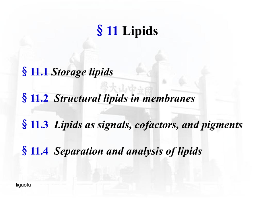 生物化學課件：11 Lipids_第1頁